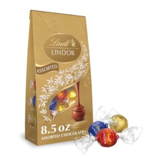 Lindt LINDOR Assorted Dark Chocolate Truffles, 15.2 oz Bag
